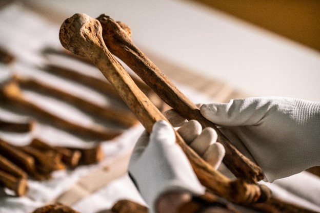 Szénizotópos vizsgálatok igazolják a Tihanyi Királykriptában feltárt csontok egy részének 11. századi eredetét