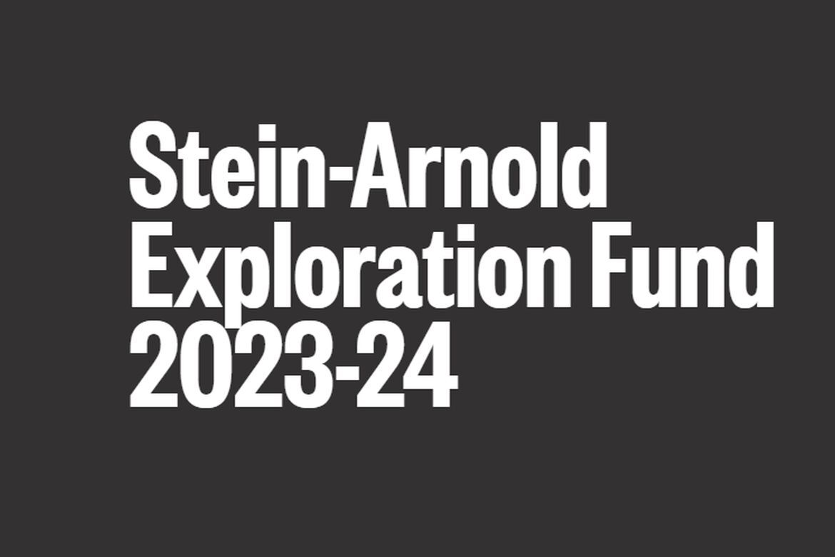 Stein-Arnold Kutatási Alap 2023-24