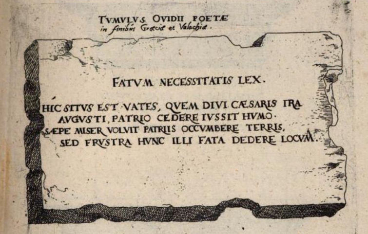 fendt ovidius